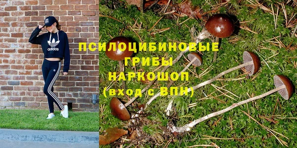 трава Медногорск