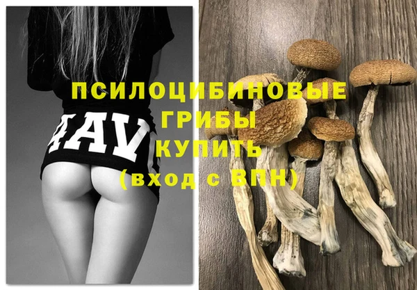 трава Медногорск