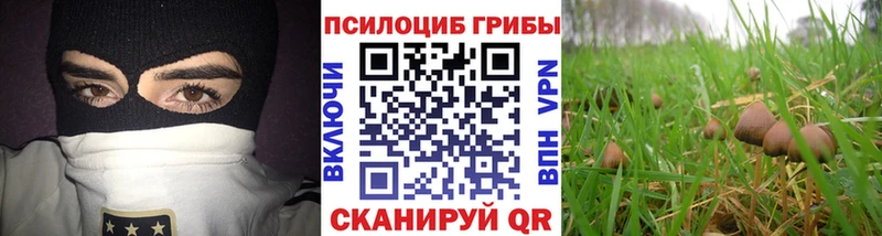 цены наркотик  кракен зеркало  Галлюциногенные грибы мухоморы  Новое Девяткино 