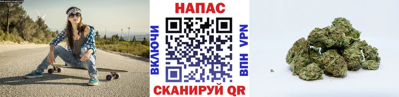 Бошки Шишки конопля Новое Девяткино